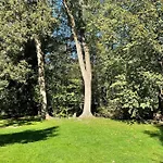 Blockhaus Baum 3 * Burg (Spreewald)