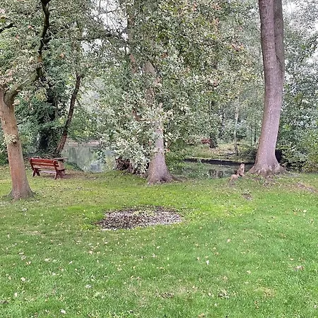 Blockhaus Baum 3 * Eiche