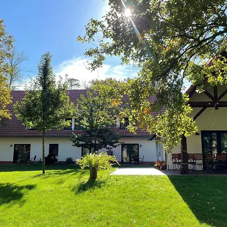 Daire Blockhaus Baum 3 Eiche