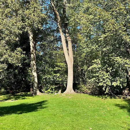 Blockhaus Baum 3 * Burg (Spreewald)