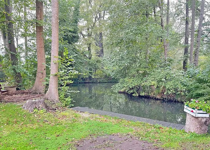 Daire Blockhaus Baum 3 Eiche